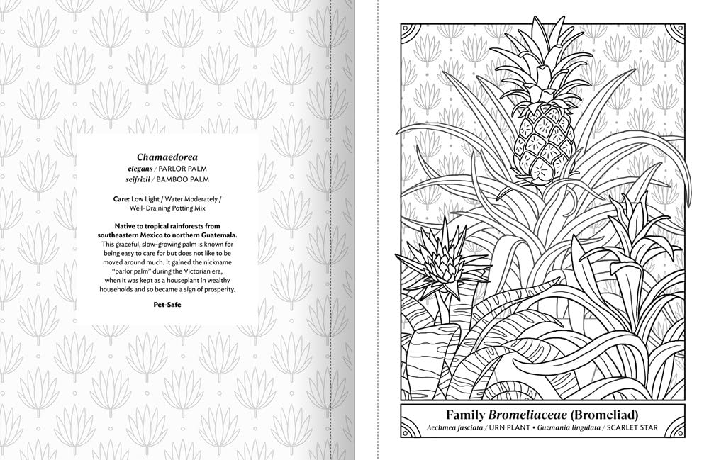house plant coloring pages The Happy Houseplant Coloring Book